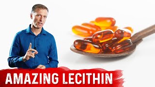 The 11 Benefits of Lecithin [upl. by Austin]