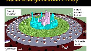 Social Disorganization Theory [upl. by Nedry]