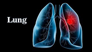 Pulmonary Ventilation System Respiratory [upl. by Alistair881]