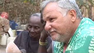 Une aventure humaine incroyable  le reboisement de la mangrove au Sénégal [upl. by Godard]