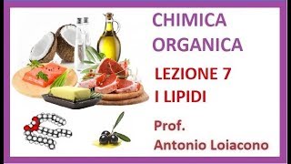 CHIMICA ORGANICA  Lezione 7  I Lipidi [upl. by Ode]