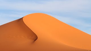 The Sahara desert  Ecosystems [upl. by Ynneg]