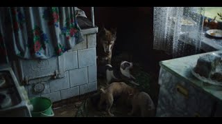 Chernobyl Episode 4 Scene  HBO  Pets Liquidation [upl. by Thesda]