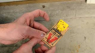 How to Set a Mousetrap [upl. by Rumney]