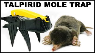 Catching Moles With A Powerful Spring Loaded Trap Mousetrap Monday [upl. by Ecineg]