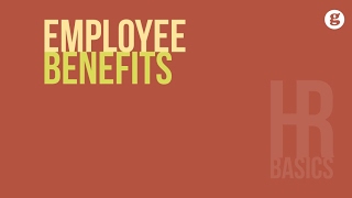 HR Basics Employee Benefits [upl. by Arikat567]