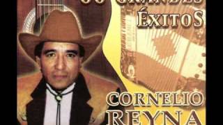 Cornelio Reyna  Mil Noches [upl. by Karwan]