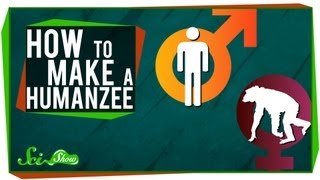 How to Make A Humanzee [upl. by Eeralih]