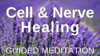 Guided HEAL Meditation  Cell and Nerve Healing Self Healing Meditation [upl. by Gerda]