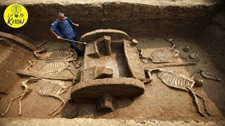 20 Archaeological Discoveries That Will Blow Your Mind [upl. by Anastassia540]