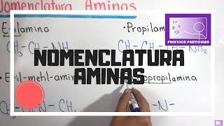 Nomenclatura Aminas  quimica organica [upl. by Bogoch]