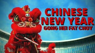 Chinese New Year Information for Kids  Facts about Chinese New Year [upl. by Alberta198]