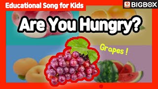 Are You Hungry  Educational Song for Kids  BIG SHOW 18 ★BIGBOX [upl. by Alica]