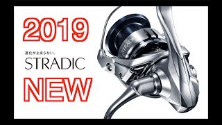 ● 2019 NEW STRADIC FL  SHIMANO  ● [upl. by Neema87]