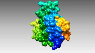 Introduction to Hemoglobin and Myoglobin [upl. by Meehaf]