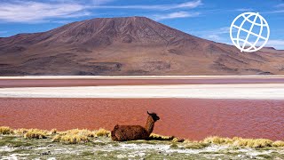 Bolivia Altiplano amp Salar de Uyuni Amazing Places 4K [upl. by Durkee407]