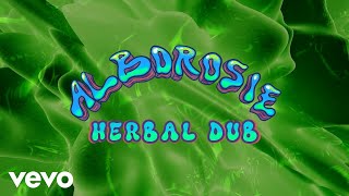 Alborosie  Herbal Dub [upl. by Essinger716]