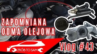 Odma olejowa objawy  diagnoza  omówienie Vlog 43 [upl. by Annoda]