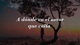 A Dónde Va El Amor 🎶 Ricardo Montaner  Letra [upl. by Nosneb]