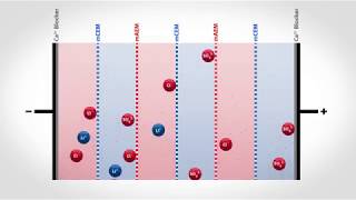 Electrodialysis Reversal for Selective Ion Extraction  Flex EDR Selective [upl. by Heida870]