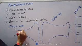 Neurotransmitters and its types [upl. by Bucher]