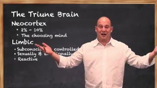 The Triune Brain Theory [upl. by Anead442]