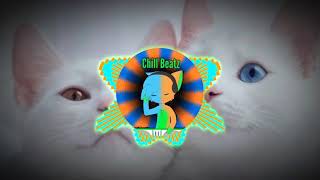 Ashworth  Cat Remix Meow Meme Song [upl. by Anuaf]