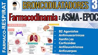 B2 AGONISTAS AntiMUSCARINICOS CORTICOIDES XANTINAS ANTILEUCOTRIENOS Farmacodinamiacinetica 3 [upl. by Kask]