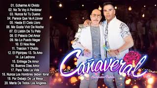 Grupo Cañaveral Sus Mejor Canciones  Cañaveral Exitos Mix Nuveo 2020 [upl. by Anaylil346]