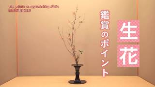 『いけばな鑑賞方法（生花編）The Points on appreciating ikebana Shoka 插花作品鑑賞方法（生花篇）』 [upl. by Annalla]