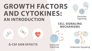 Cell Signaling Introduction to Growth factors and Cytokines [upl. by Cline]