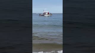 Watch as shark swims off Cape Cod shore within 10 feet of Race Point Beach in Provincetown [upl. by Hnib]