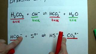 Identify Conjugate Acid Base Pairs Bronsted Lowry [upl. by Abad]