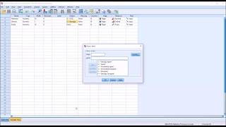 Levels of Measurement in SPSS Nominal Ordinal amp Scale [upl. by Hareehat]