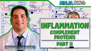 Immunology  Inflammation Complement Proteins Part 3 [upl. by Hadihahs]