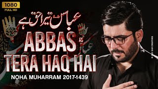 Abbasas Tera Haq Hai  Mir Hasan Mir  New Noha 2017 1439 HD [upl. by Anitsrihc]