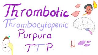 Thrombotic Thrombocytopenic Purpura TTP [upl. by Ydurt732]