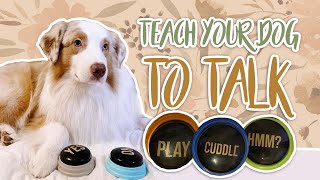 How to Teach Your Dog to Talk  Dog Tricks [upl. by Crespi]