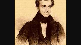 Marcha Radetzky  Johann Strauss I [upl. by Chico]