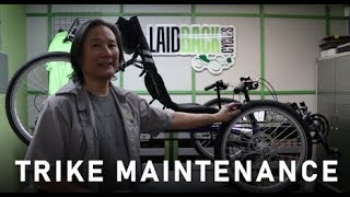 Recumbent Trike Maintenance Workshop [upl. by Tiphany]