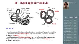 le système vestibulaire [upl. by Bond]