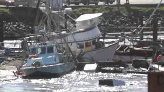 Tsunami destroys Crescent City Harbor 31111 HD [upl. by Oinotla]