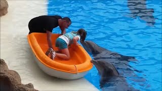 🐬 DELFINES at LORO PARQUE THEME PARK COMPLETE DOLPHIN NEW SHOW IN HD [upl. by Merla582]