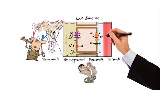 Pharmacology  DIURETICS MADE EASY [upl. by Nowad]