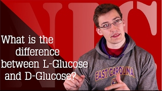 NIC 37a What is the difference between DGlucose amp LGlucose [upl. by Ariem135]