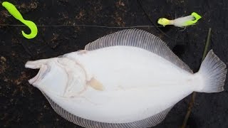 Fluke Fishing Summer Flounder  Ocean Jigging [upl. by Acimaj956]