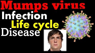 MUMPS in HINDI  Symptoms  causes  diagnosis  treatment  Vaccination  Tarang academy [upl. by Elton]