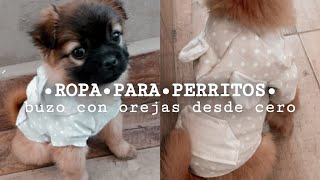 TUTORIAL COMO HACER ROPA PARA PERRITOS a medida con moldes [upl. by Ahsirak]