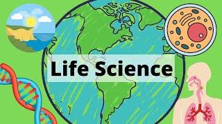 A Year of Life Science in 3 Minutes [upl. by Kaden]