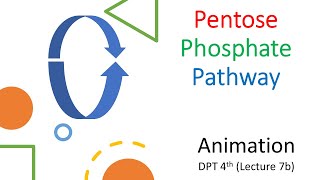 Animated Pentose Phosphate Pathway Complete [upl. by Nomi]